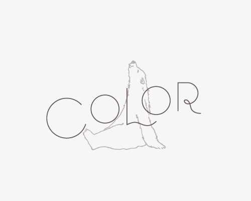 名刺・ショップカード COLOR様