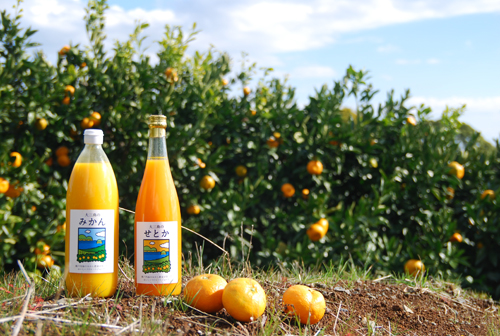 ラベルイメージ 上浦町青年農業者協議会様