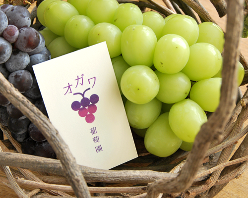 名刺 オガワ葡萄園様