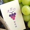 オガワ葡萄園様 事例詳細